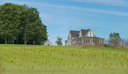 Percy Hill Vacation Home