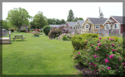 Avonlea Cottages