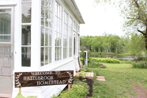 Hazelbrook Homestead