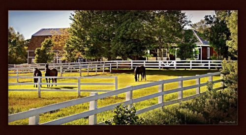 Ridgewind Farm Bed & Breakfast