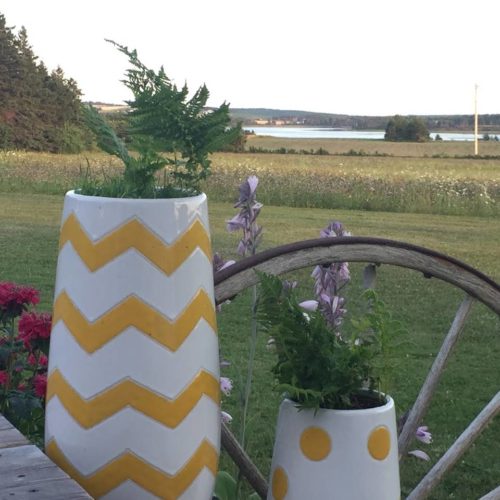 Greenwich Moonlight Bay Cottage